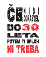 00080030 ce nisi odrasel do 30 leta potem ti sploh ni treba web
