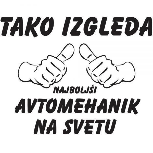 avtomehanikd