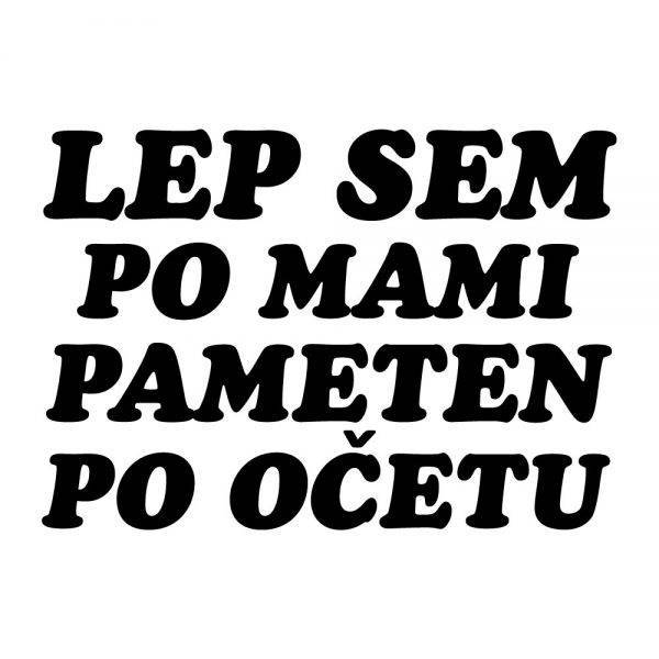 50000132-lep-sem-po-mami-pameten-po-ocetu-prikaz