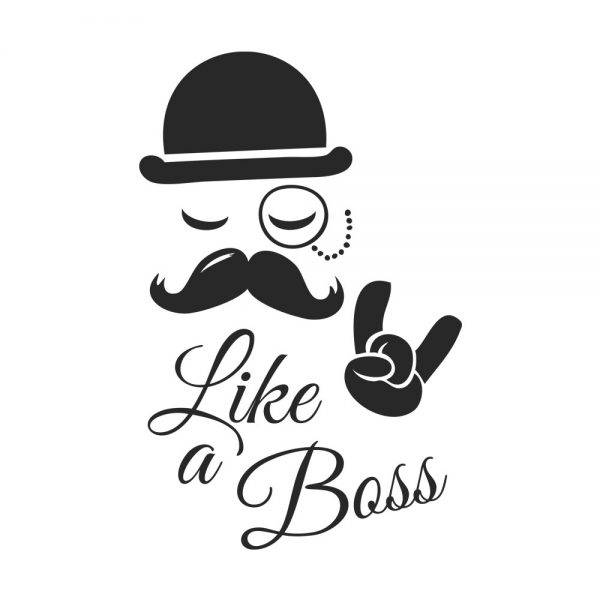 50000266–like-a-boss-prikaz