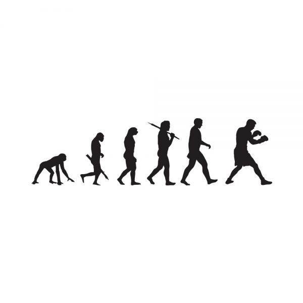 50000394-evolucija-boks-prikaz