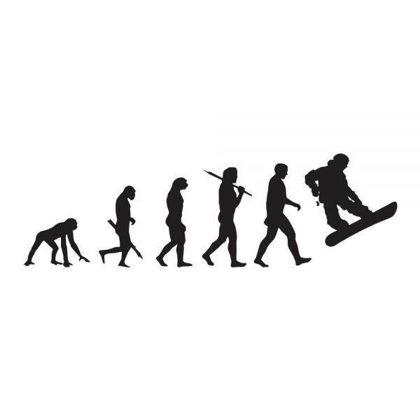 50000395-evolucija-border-prikaz
