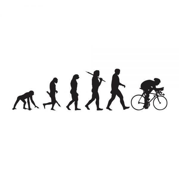 50000412-evolucija-cestni-kolesar-prikaz