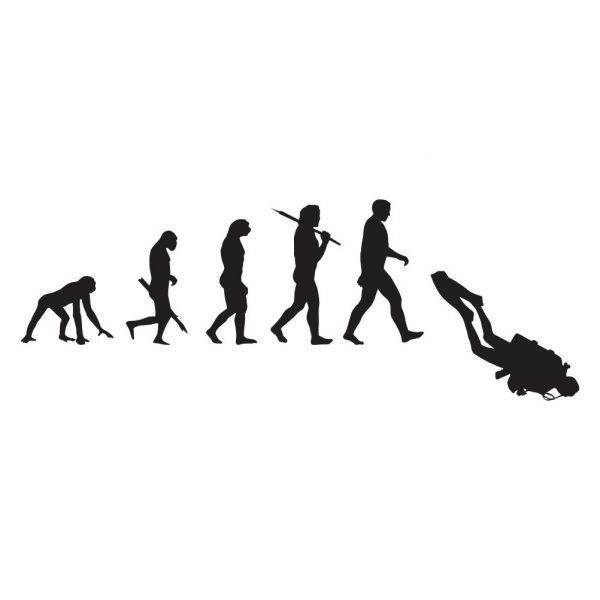 50000429 evolucija potapljac za web jpg