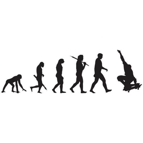 50000433 evolucija rolkar ta web jpg