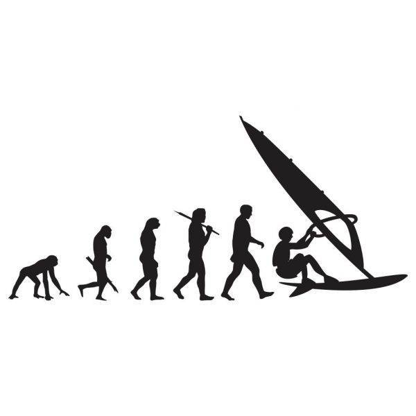 50000440 evolucija surfanje za web jpg
