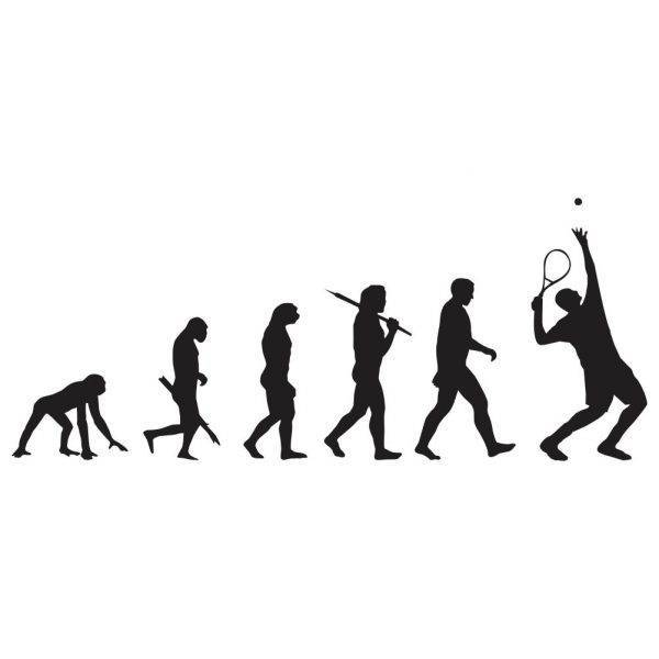 50000443 evolucija tenis za web