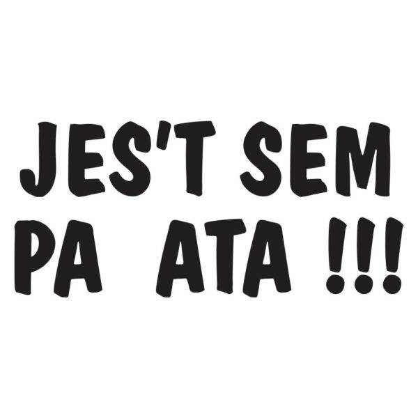 50000487 jest sem pa ata za web jpg