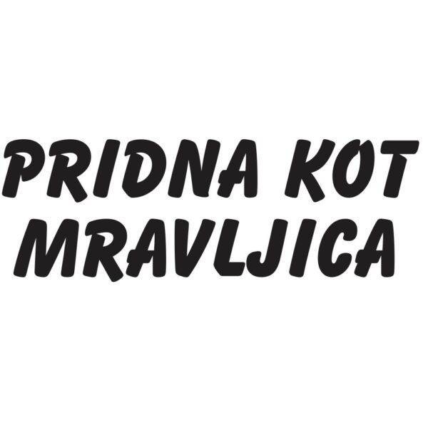 pridna kot mravljica za web jpg