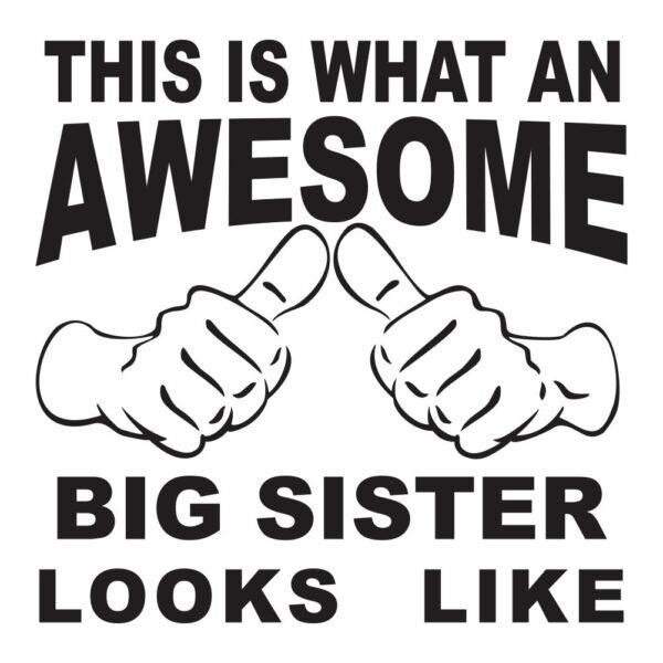 50000501 this is what an awesome big sister looks like za web jpg