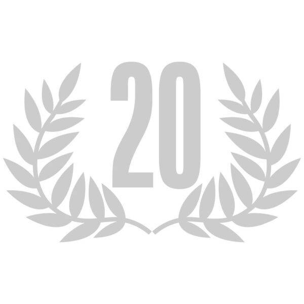 00770020 20 let venec srebrn za web jpg