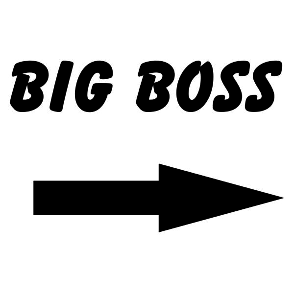 50000908 big boss za web jpg